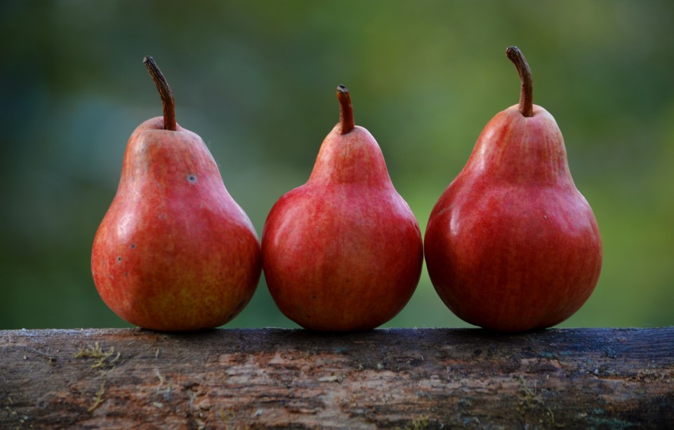 Digérer un fruit aqueux