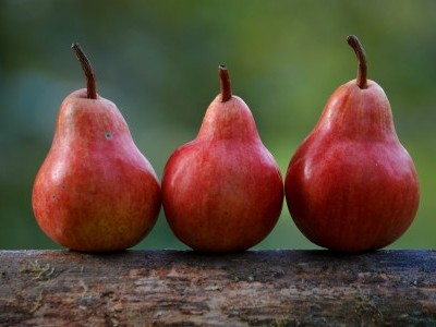 Digérer un fruit aqueux